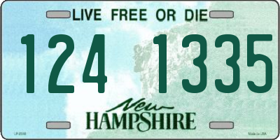 NH license plate 1241335