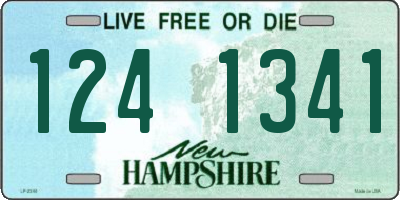 NH license plate 1241341