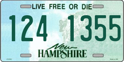 NH license plate 1241355