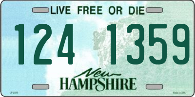 NH license plate 1241359