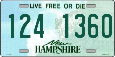 NH license plate 1241360
