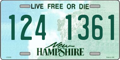 NH license plate 1241361
