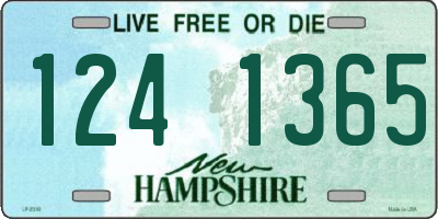 NH license plate 1241365