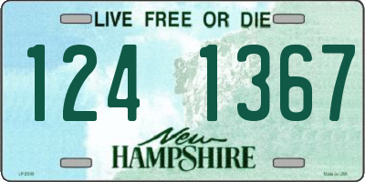 NH license plate 1241367
