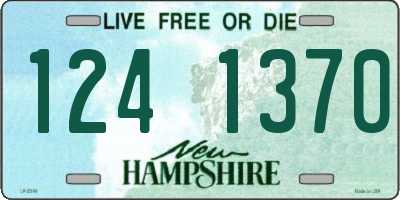 NH license plate 1241370