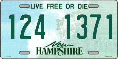 NH license plate 1241371