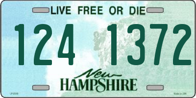 NH license plate 1241372