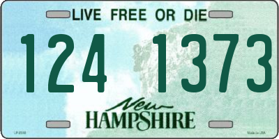 NH license plate 1241373