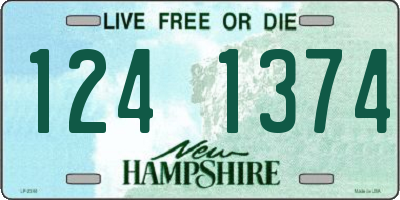 NH license plate 1241374