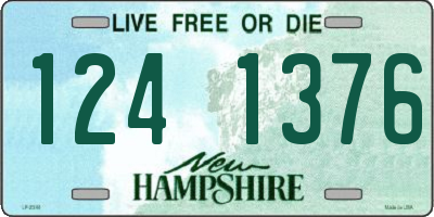 NH license plate 1241376
