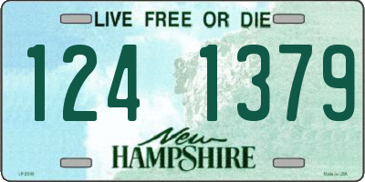 NH license plate 1241379