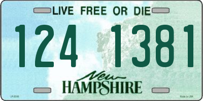 NH license plate 1241381