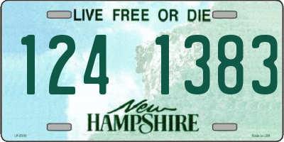 NH license plate 1241383