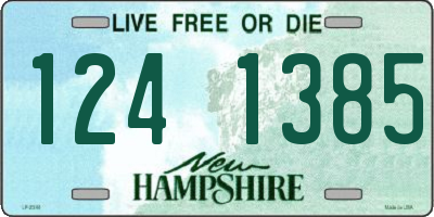 NH license plate 1241385