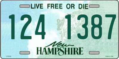NH license plate 1241387