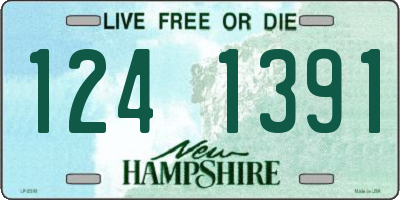 NH license plate 1241391