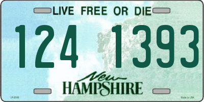 NH license plate 1241393
