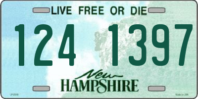 NH license plate 1241397