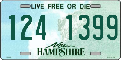 NH license plate 1241399