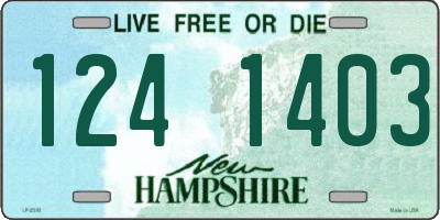 NH license plate 1241403