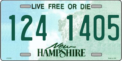NH license plate 1241405