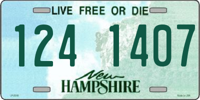 NH license plate 1241407
