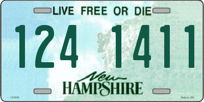 NH license plate 1241411