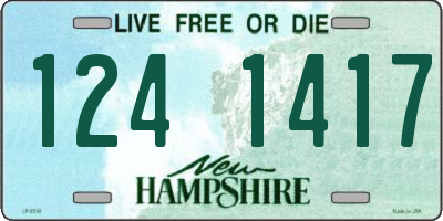 NH license plate 1241417