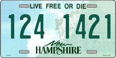 NH license plate 1241421