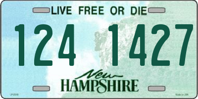 NH license plate 1241427