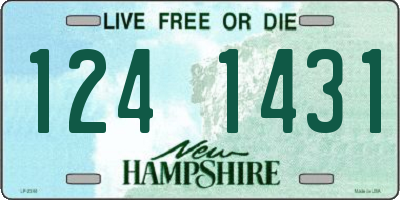 NH license plate 1241431