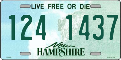 NH license plate 1241437