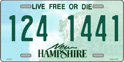 NH license plate 1241441