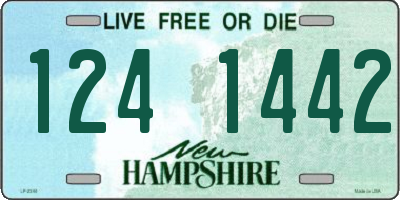 NH license plate 1241442