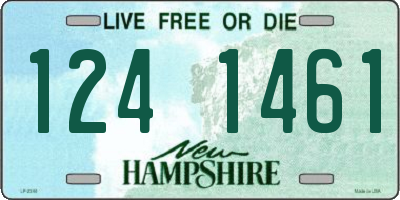 NH license plate 1241461
