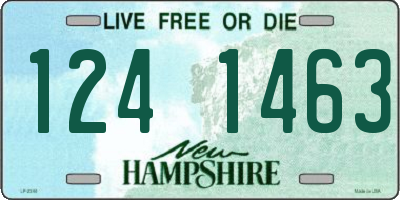 NH license plate 1241463
