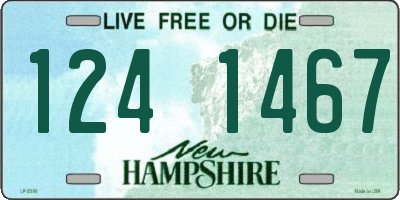 NH license plate 1241467