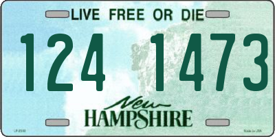 NH license plate 1241473