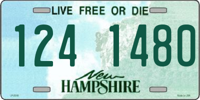 NH license plate 1241480