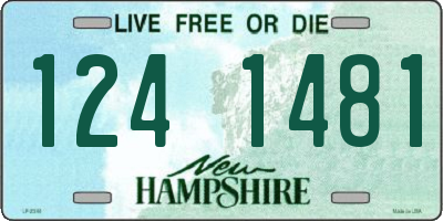 NH license plate 1241481