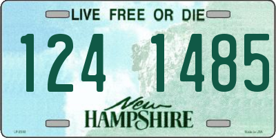 NH license plate 1241485