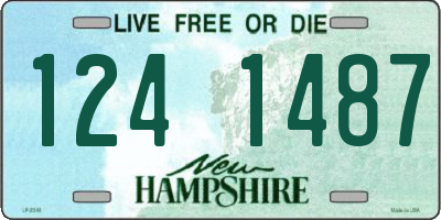 NH license plate 1241487