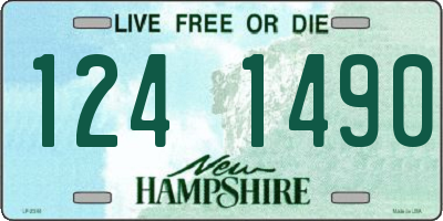 NH license plate 1241490