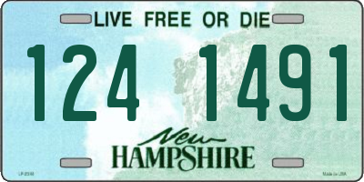 NH license plate 1241491