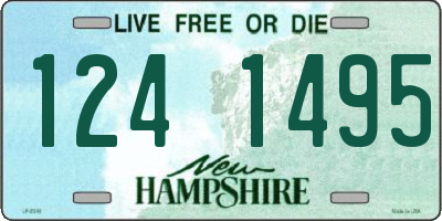 NH license plate 1241495