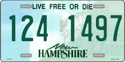 NH license plate 1241497