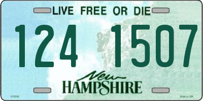 NH license plate 1241507