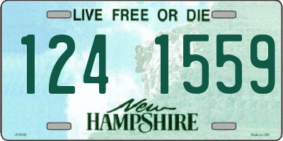 NH license plate 1241559