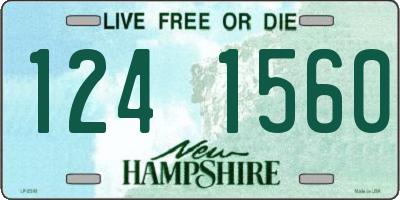 NH license plate 1241560