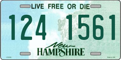 NH license plate 1241561